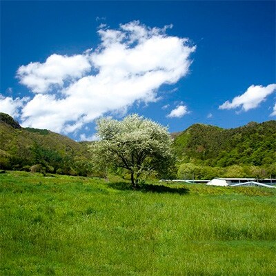 2019年10月発送開始『定期便』内閣総理大臣賞受賞 放牧卵18個 全6回