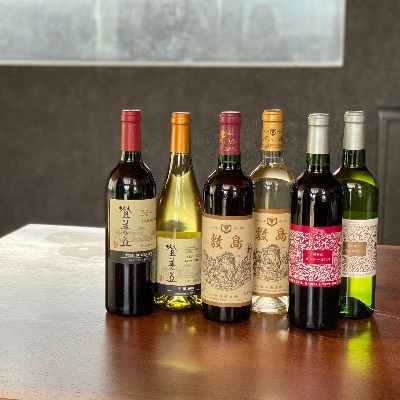 甲斐市産 赤白ワイン飲み比べ6本セット AD-28