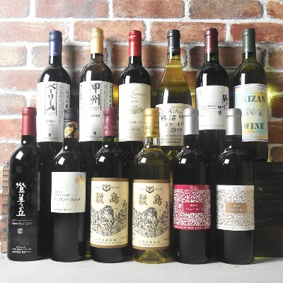 山梨県産　赤白ワイン　飲み比べ12本セット　