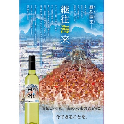 「海ごみZEROプロジェクト」山梨限定ワイン【継往海来】登美の丘ワイナリー3本セット