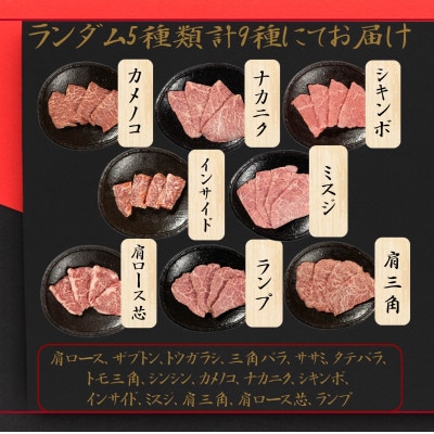 山梨県の甲州牛　黒毛和牛　9部位　食べ比べ　自宅で焼肉体験