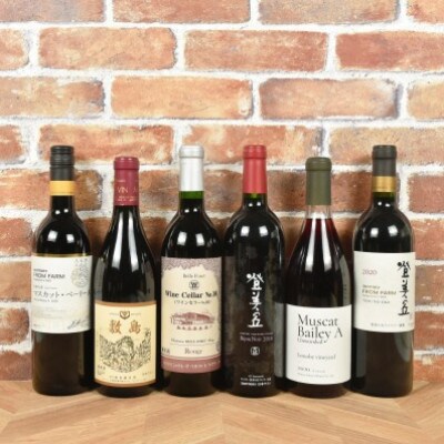 甲斐市産ワイン　赤飲み比べ6本セット　AD-258