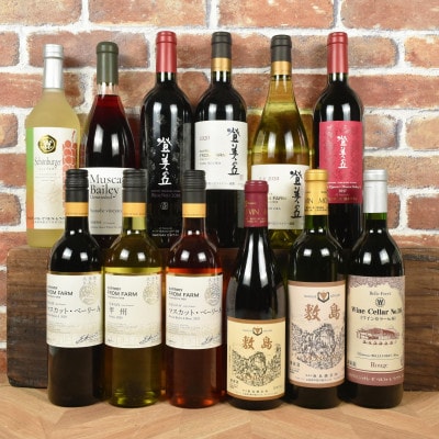 甲斐市産ワイン　赤白飲み比べ12本セット　AD-257
