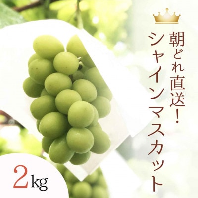 【2025年9月より発送予定】シャインマスカット 2.0kg相当 山梨県産 産地直送 AD-84