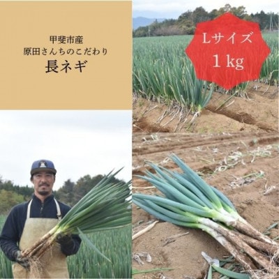 原田さんちのこだわり長ネギ　約1kg　AD-306