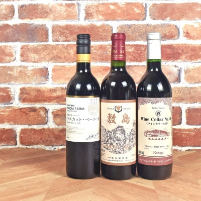 甲斐市産　赤ワイン飲み比べ3本セット　日本ワイン　(AD-289)