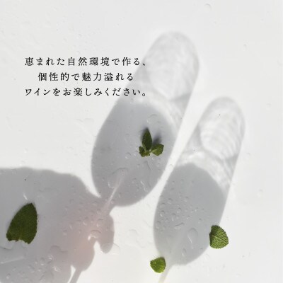 甲斐市 おまかせワイン3本セット 日本ワイン 飲み比べ (AD-275)