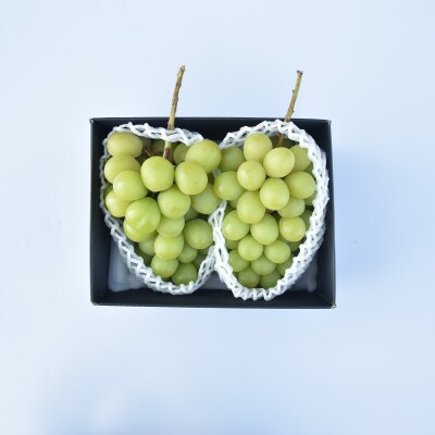 AD-239シャインマスカット2房 1.2kg