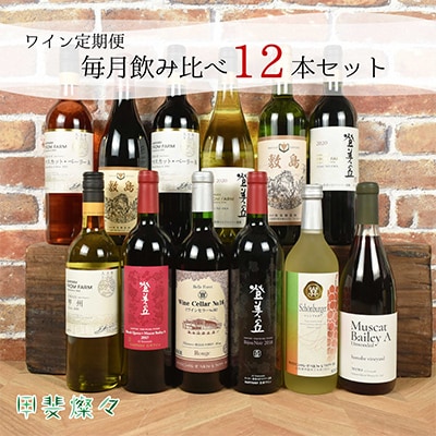 【発送月固定定期便】甲斐市産ワイン　赤白(月1本計12本)全12回