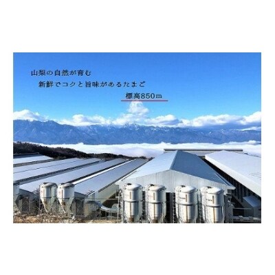 山梨の大自然が育むワインたまご20個
