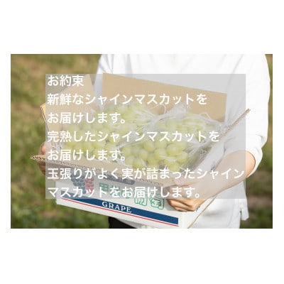 【2025年発送分☆先行受付☆】山梨県産朝採り新鮮シャインマスカット2kg以上(3房以上)