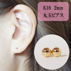 K18/Pt スパイクコーン ボディピアス │ 16G/14G K18イエローゴールド プラチナ スパイクコーン 軟骨ピアス | PICOLLET
