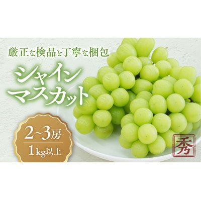 【2026年発送分】 甲斐市 こだわり シャインマスカット 2～3房　合計1kg以上