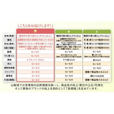 【2026年発送分】 甲斐市 こだわり シャインマスカット 2～3房　合計1kg以上