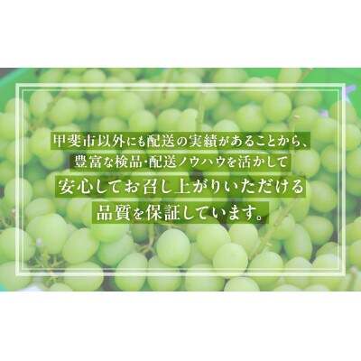 【2026年発送分】 甲斐市 こだわり シャインマスカット 2～3房　合計1kg以上