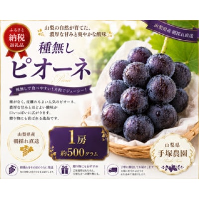 種なしピオーネ　1房　約500g以上