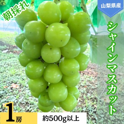 山梨県産　シャインマスカット　1房　約500g以上
