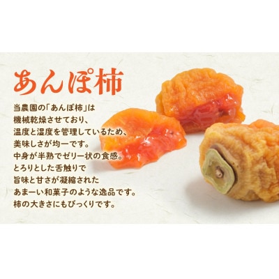 あんぽ柿　和紙贈答箱　8個入り