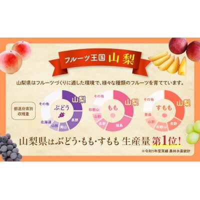 【ご家庭用粒】ぶどう3種(シャインマスカット・甲斐キング・クイーンニーナのミックス)約500g×3P