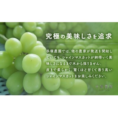【ご家庭用粒】ぶどう3種(シャインマスカット・甲斐キング・クイーンニーナのミックス)約500g×2P