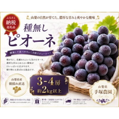 種なしピオーネ　3-4房　計2.0kg以上