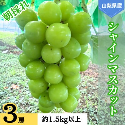 山梨県産　シャインマスカット　3房　計約1.5kg以上