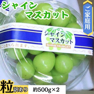 【ご家庭用つぶつぶ】シャインマスカット(粒)500g×2パック