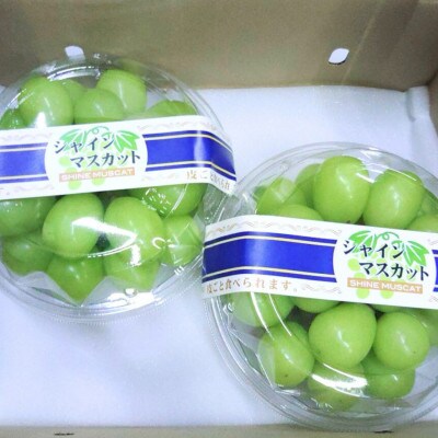 【ご家庭用つぶつぶ】シャインマスカット(粒)500g×2パック