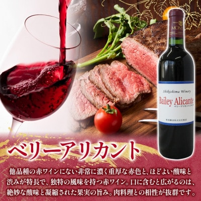 ベリーアリカント 720ml×1本 レア マウントワイン 国産 自家栽培 赤ワイン 敷島醸造