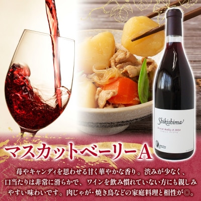 マスカットベーリーA 甲州 720ml×各1本 赤・白ワイン 飲み比べセット 自家栽培 敷島醸造