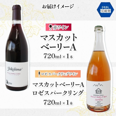 ベーリーA 2種 720ml×各1本 赤 ロゼ スパークリングワイン 飲み比べセット 自家栽培