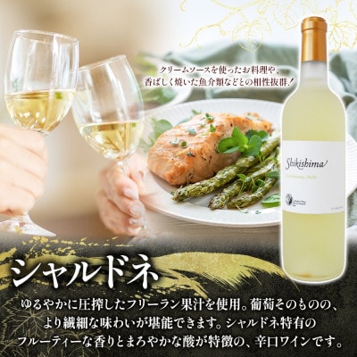 シャルドネ 2種 720ml×各1本 白ワイン・微発泡飲み比べセット 自家栽培