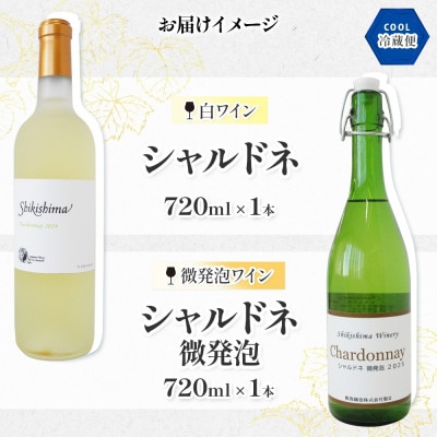 シャルドネ 2種 720ml×各1本 白ワイン・微発泡飲み比べセット 自家栽培