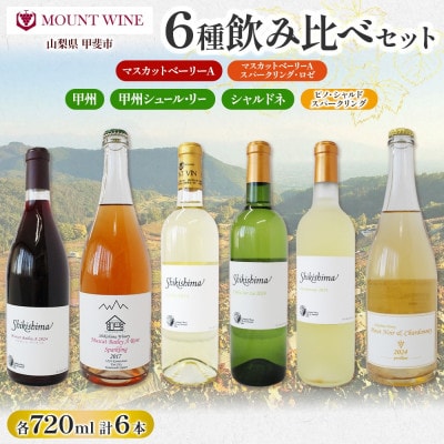国産ワイン6種 飲み比べセット 赤・白・ロゼスパークリング 720ml×各1本 自家栽培