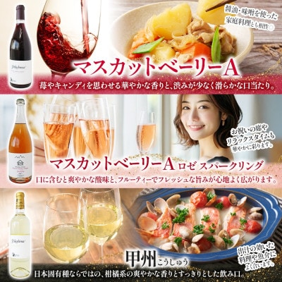 国産ワイン6種 飲み比べセット 赤・白・ロゼスパークリング 720ml×各1本 自家栽培