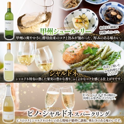 国産ワイン6種 飲み比べセット 赤・白・ロゼスパークリング 720ml×各1本 自家栽培