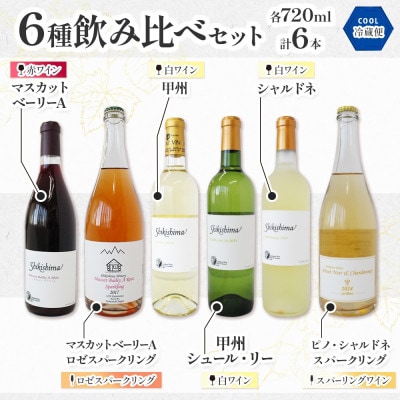 国産ワイン6種 飲み比べセット 赤・白・ロゼスパークリング 720ml×各1本 自家栽培
