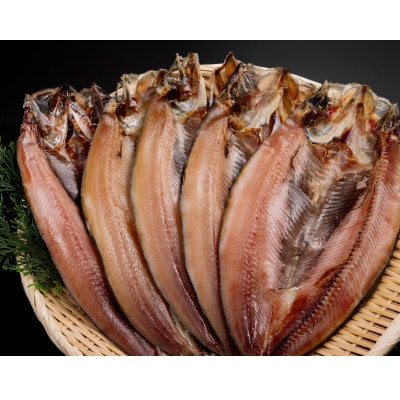 開きにしん一夜干し　5枚セット