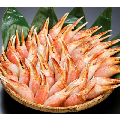 刺身可　ずわい蟹むき爪&むき爪下　4kg