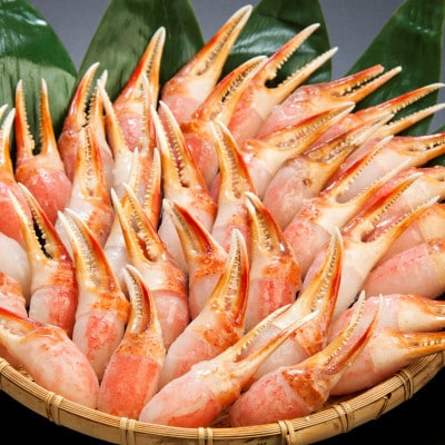 ひとくちサイズで食べやすい! 生冷凍 本ズワイガニ むき爪 1kg  手軽に使えるむき爪【カット済】