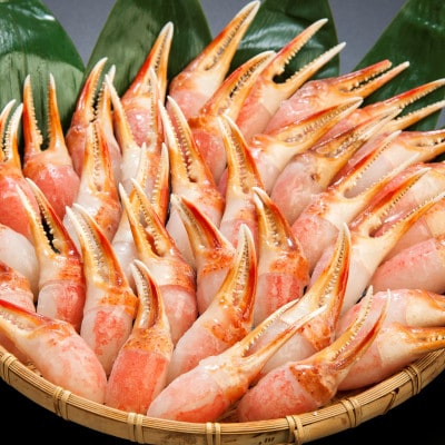 ご家庭で楽しむ 生冷凍 本ズワイガニ爪 1kg×2袋【カット済】