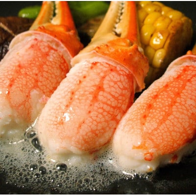 ご家庭で楽しむ 生冷凍 本ズワイガニ爪 1kg×2袋【カット済】