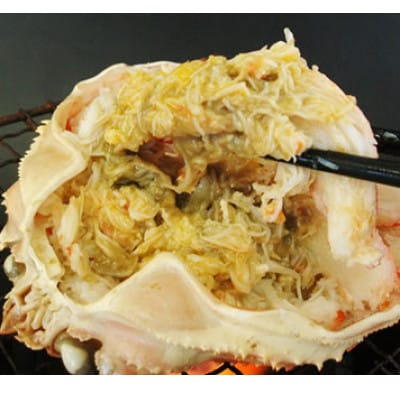 お手軽混ぜるだけ!本ずわい蟹甲羅盛　120g×10個セット(かに味噌入り)