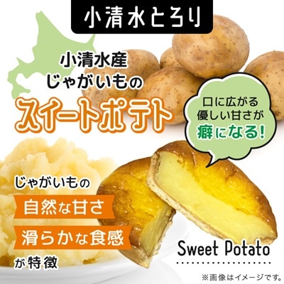 【北海道小清水町】でんぷんだんごと小清水とろりセット