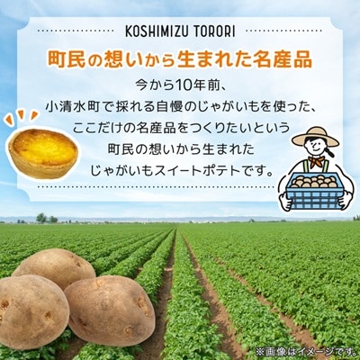 【北海道小清水町】小清水町のじゃがいもで造ったスイートポテト「小清水とろり」5個セット