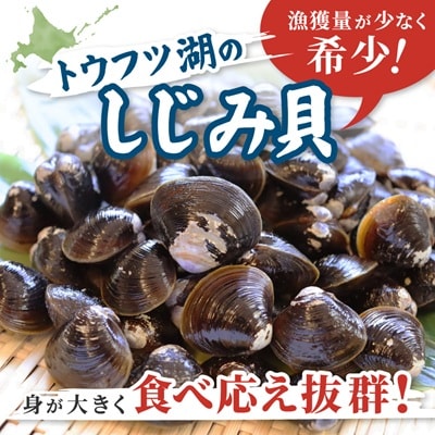 【北海道小清水町】トウフツ湖　大粒しじみ貝400g(砂出し済)