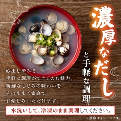 【北海道小清水町】トウフツ湖　大粒しじみ貝400g(砂出し済)