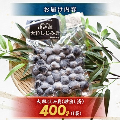 【北海道小清水町】トウフツ湖　大粒しじみ貝400g(砂出し済)
