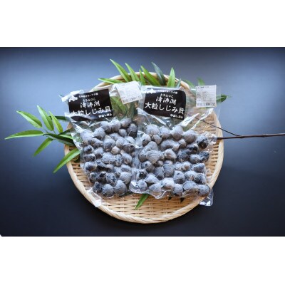 【北海道小清水町】トウフツ湖　大粒しじみ貝400g×2袋(砂出し済)