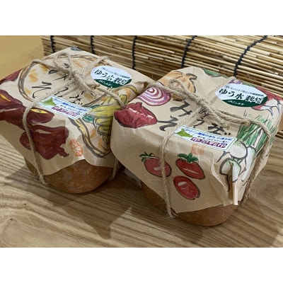 【北海道小清水町】小清水のゆう水みそ500g×2個